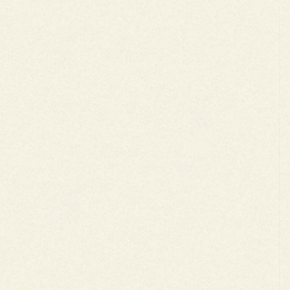 Wetwall Mermaid Concrete Collection White Frost Plywood Shower Panel 2420 x 900mm Image 4