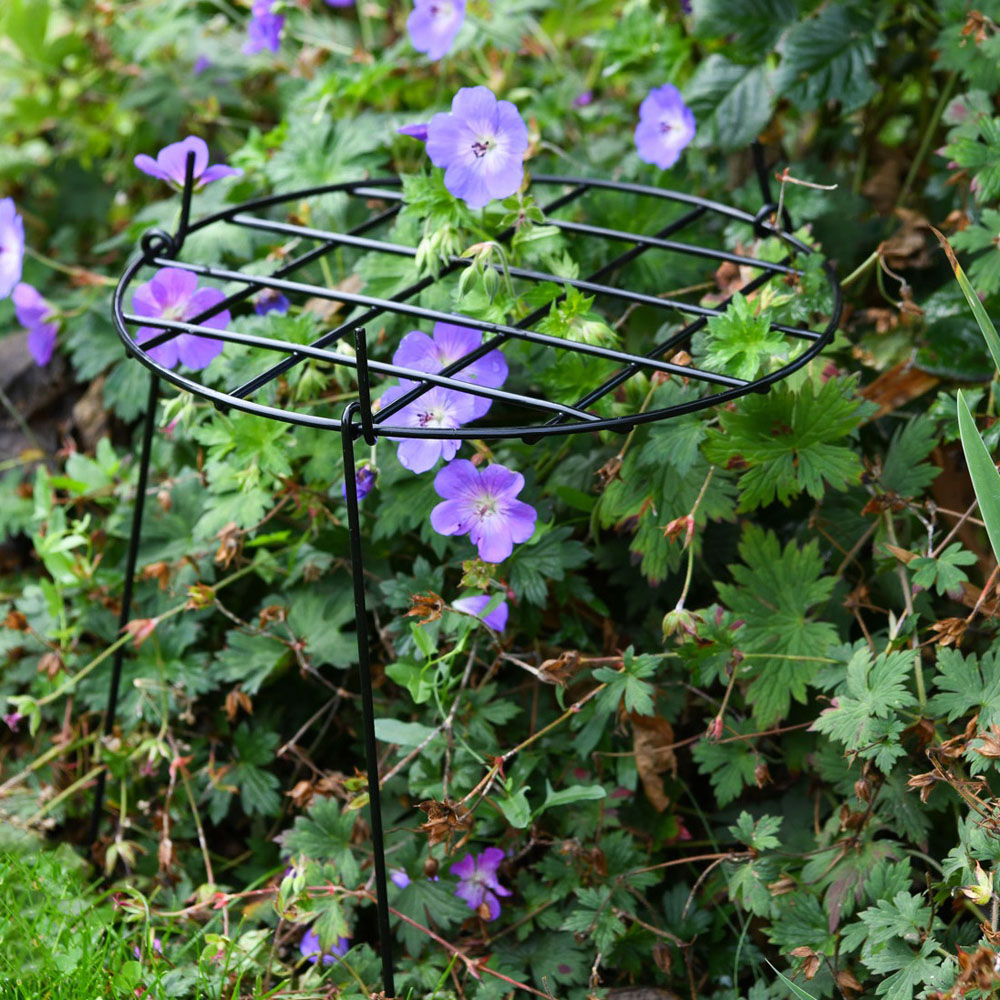 Garden Gear Grow Through Medium Round Grid Support 30cm Image 2