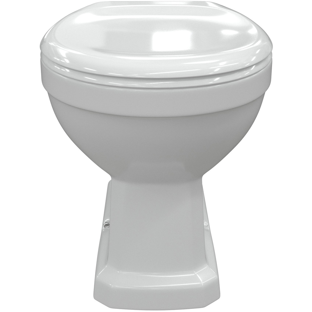 Bathstore Pelosa Back to Wall WC and Standard Soft Close Seat with Dual Flush Image 3