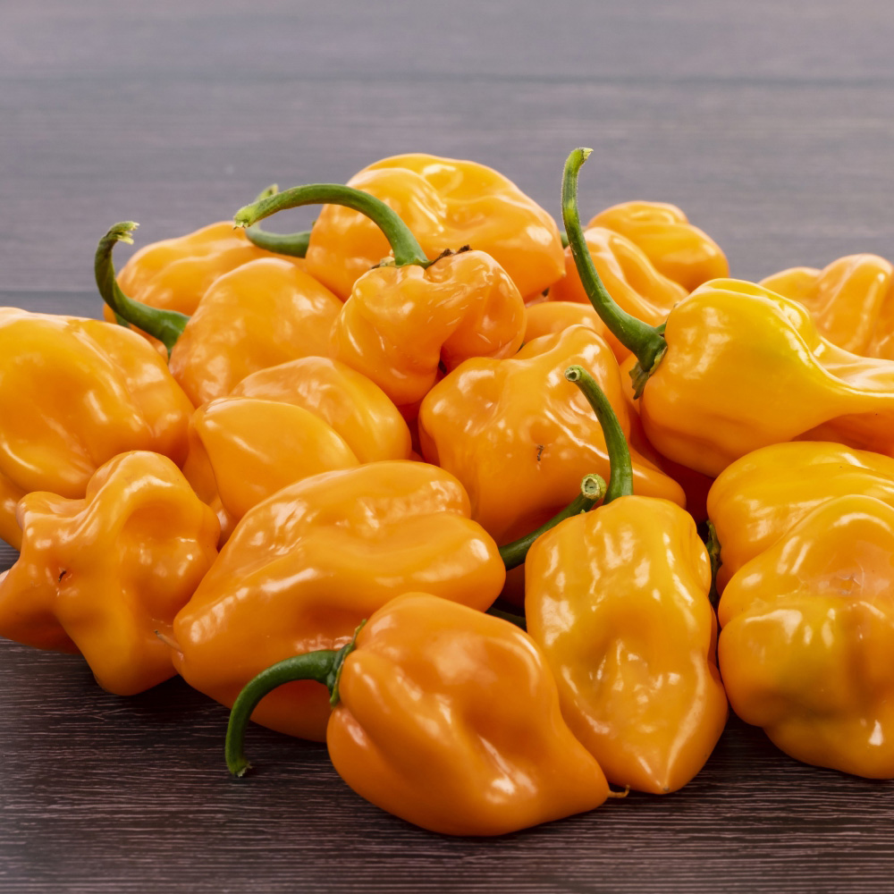 Thompson and Morgan Chilli Pepper Hot Collection Plant Pot 9cm 3 Pack Image 3