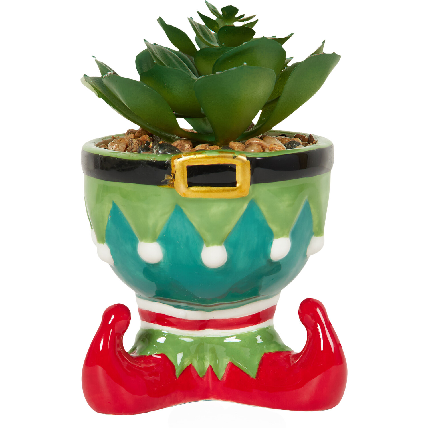 Novelty Christmas Succulent Image 3