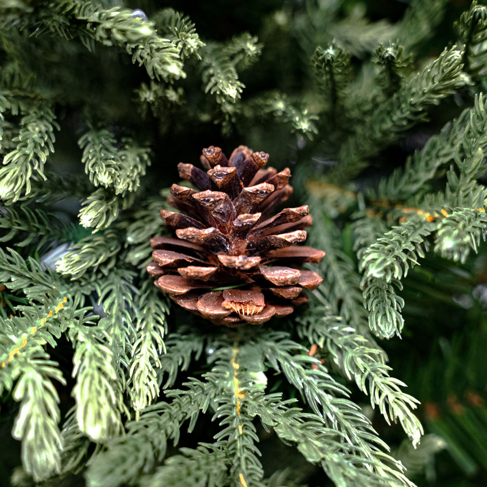 Bosk Northern Nobel Artificial Christmas Tree 7.5ft Image 4