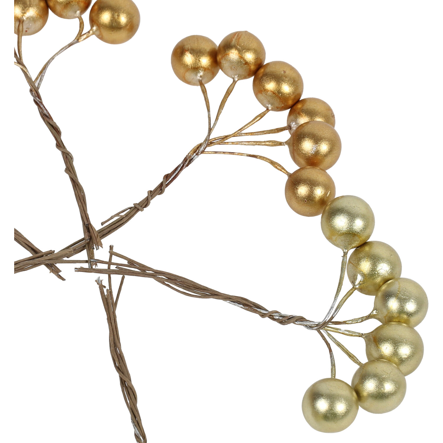 Autumn Berry Picks Image 3