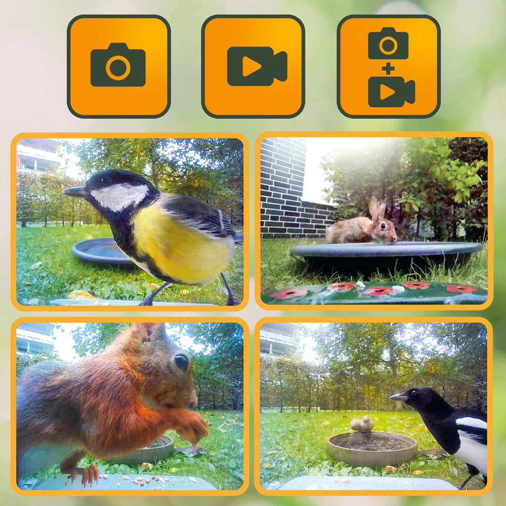 Easypix BirdyCam Bird Feeder with Camera Image 7