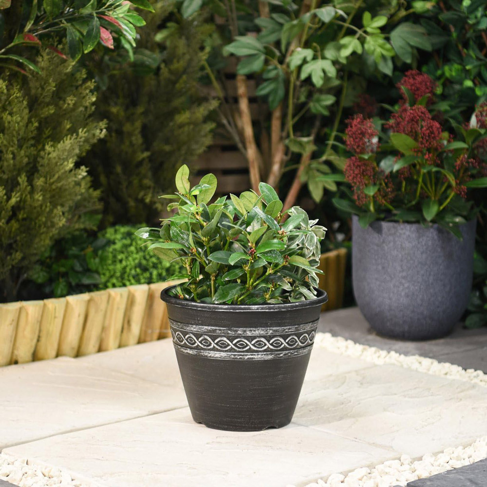 Garden Gear Wavy Design Planter 27.5cm 5 Pack Image 2