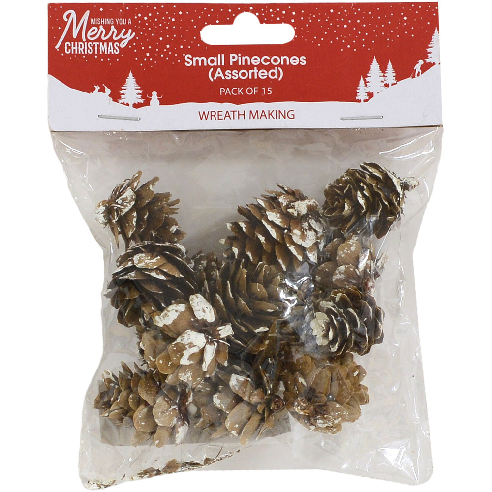 Wreath Making Small Pinecones 15 Pack Image 2