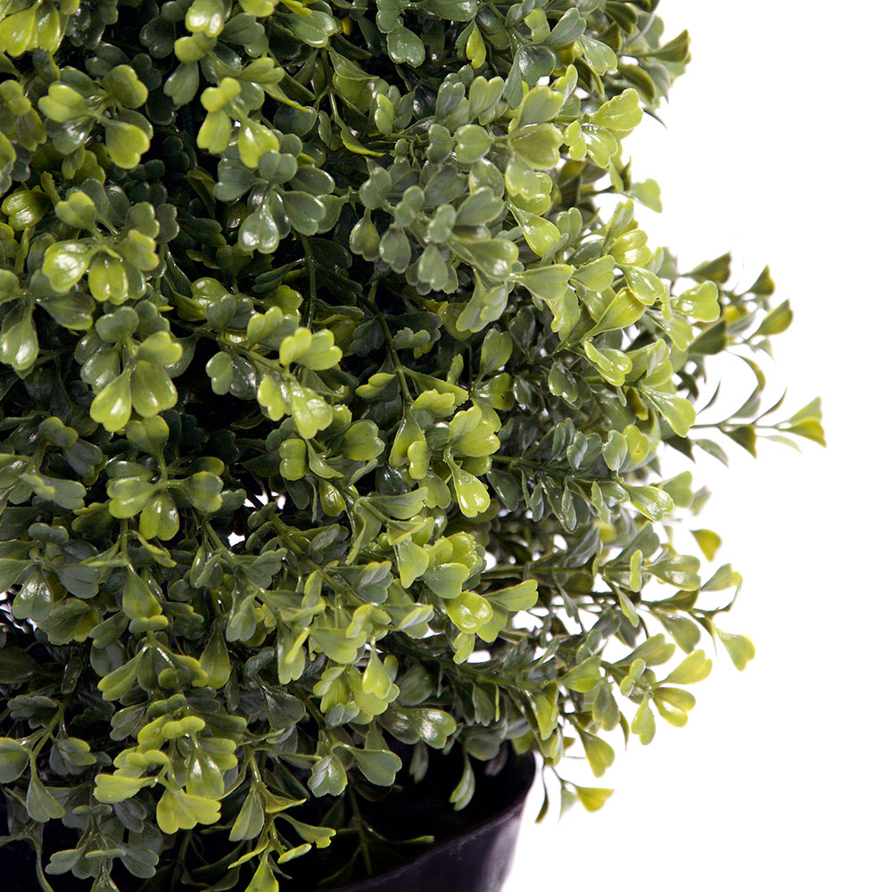 2ft Potted Boxwood Topiary Tree Image 2