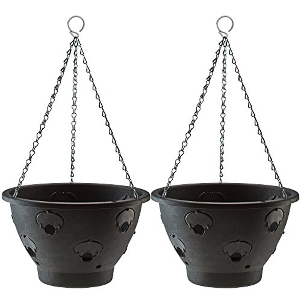 Thompson and Morgan Bloomaround Hanging Basket 30cm 2 Pack Image 1