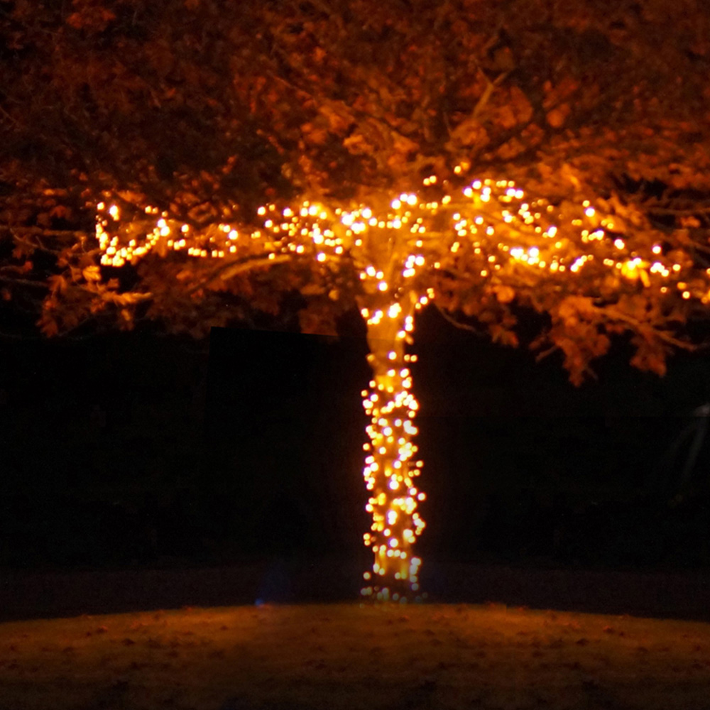 Eagle Connect 250 Gold LED Cluster Light 5m Image 4