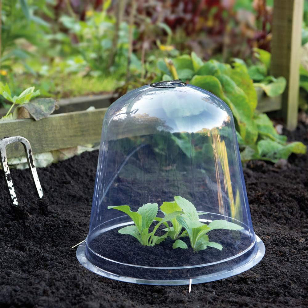Garden Gear Bell Cloche 33.5 x 30cm 3 Pack Image 2