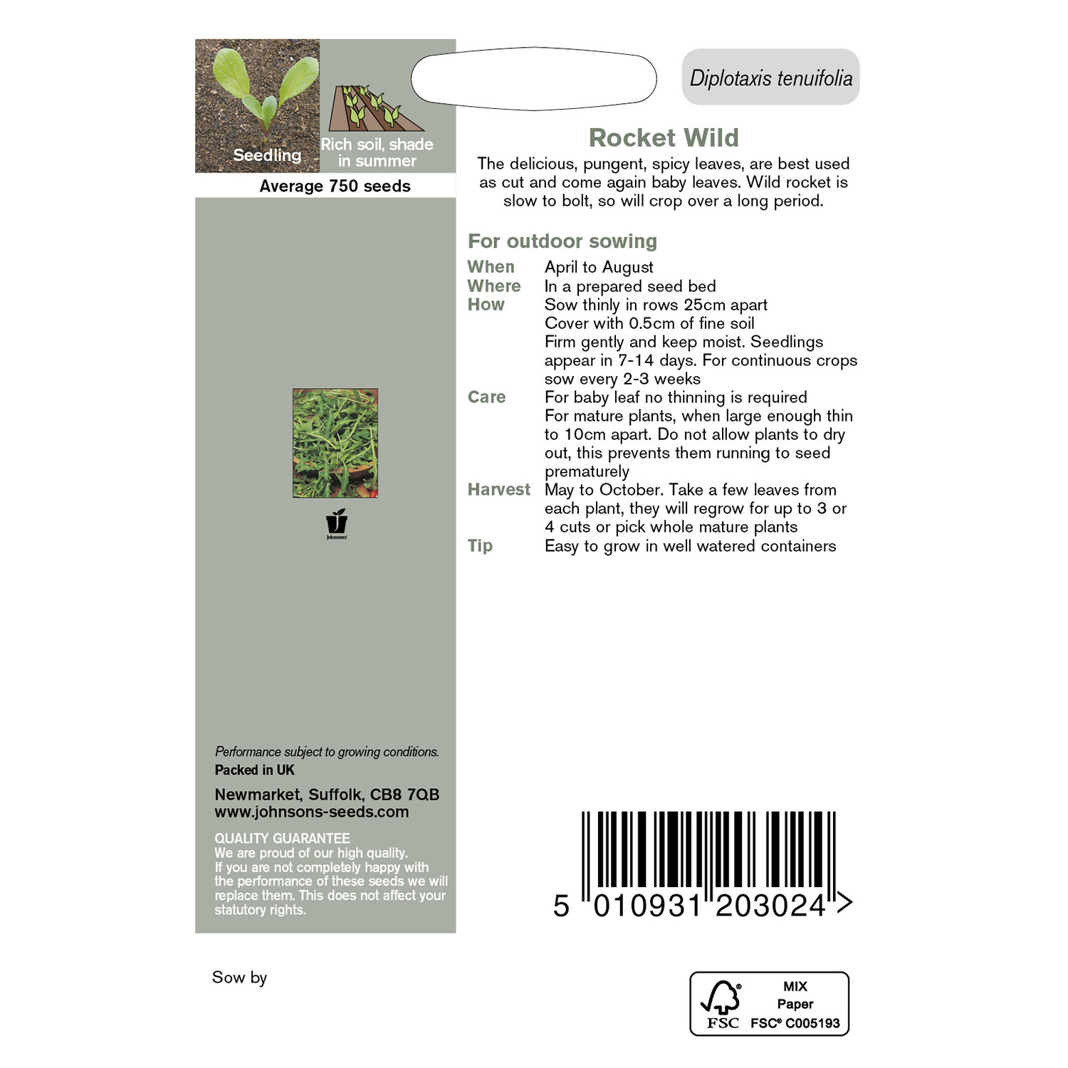 Johnsons Wild Rocket Seeds Image 3