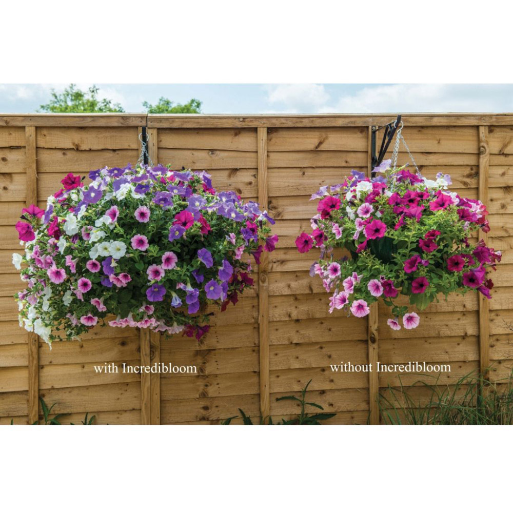 Thompson and Morgan Incredibloom Flower Plant Garden Fertiliser 750g Image 4