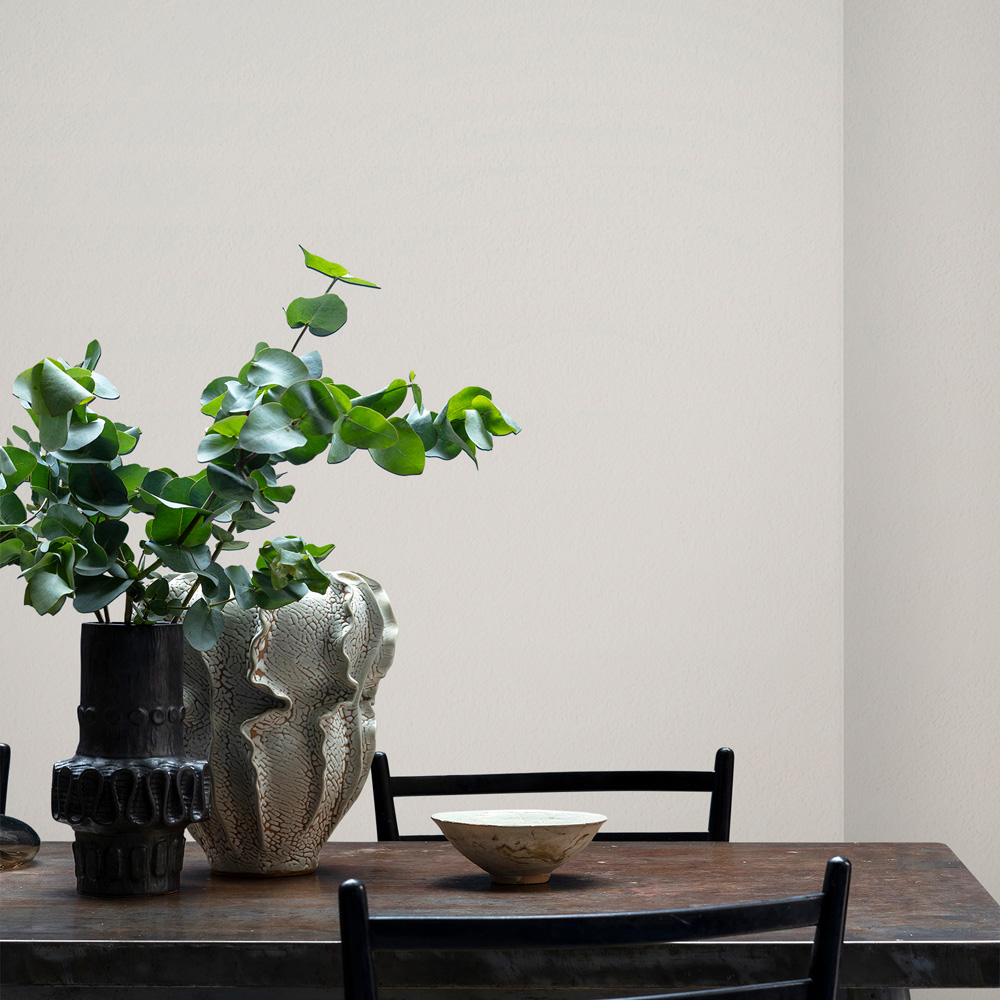 Craig & Rose Walls and Ceilings Barony Chalky Emulsion Paint 5L Image 4