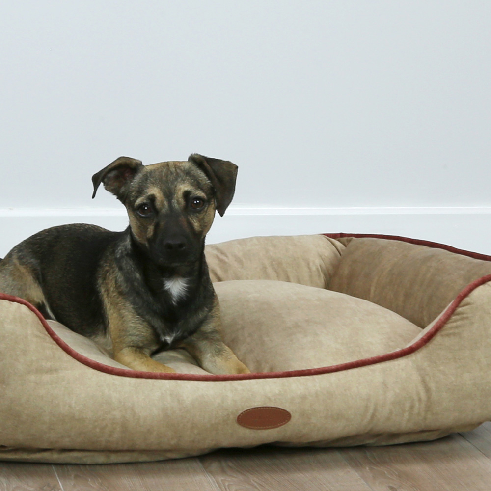 Charles Bentley Medium Taupe Pet Bed with Pink Trim Image 6