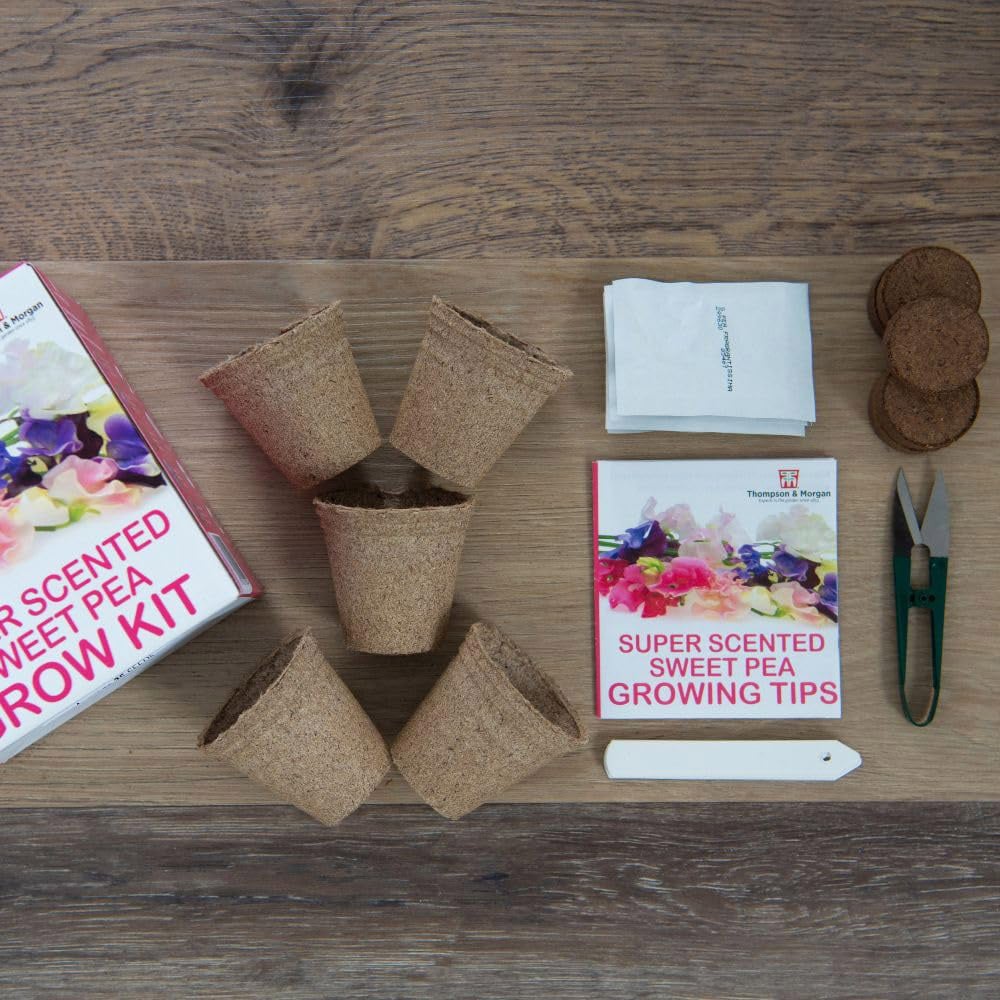 Thompson and Morgan Gift Sweet Peas Seed Grow Kit Image 5