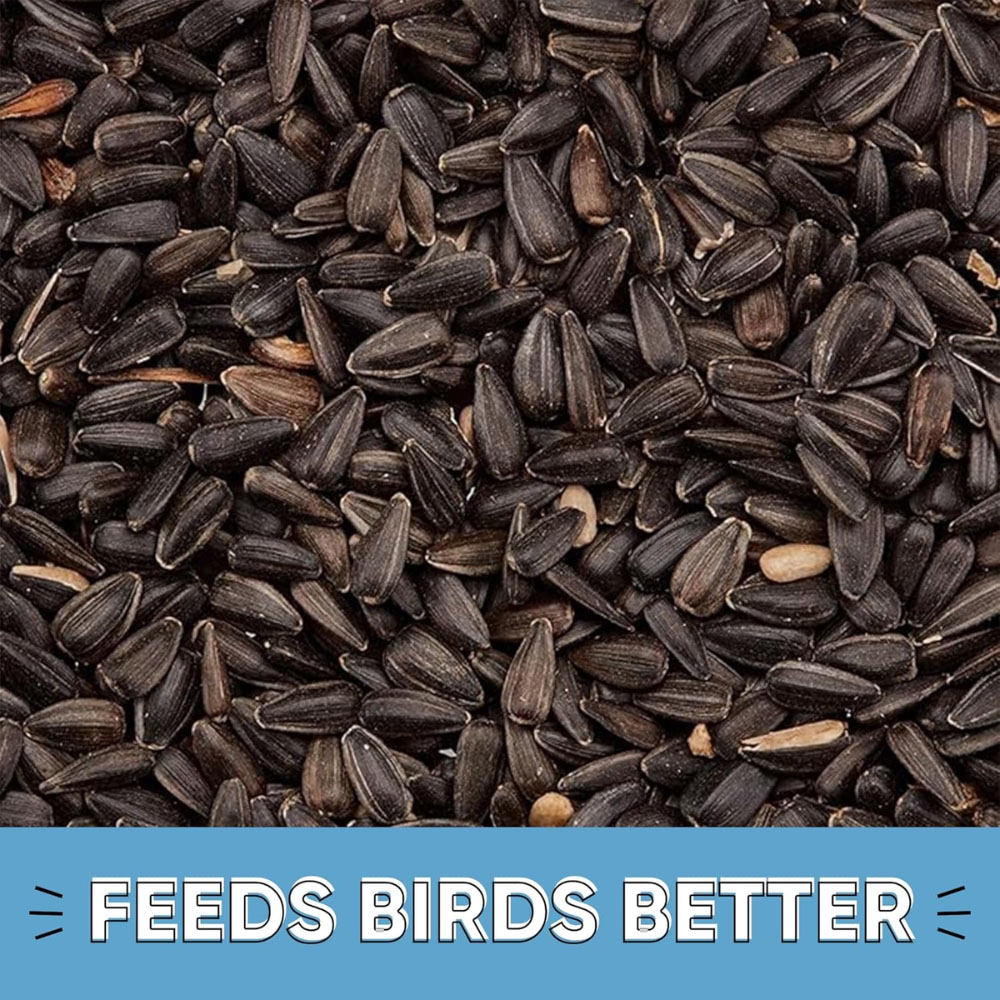 Happy Beaks Black Sunflower Seeds 25.5kg Image 8