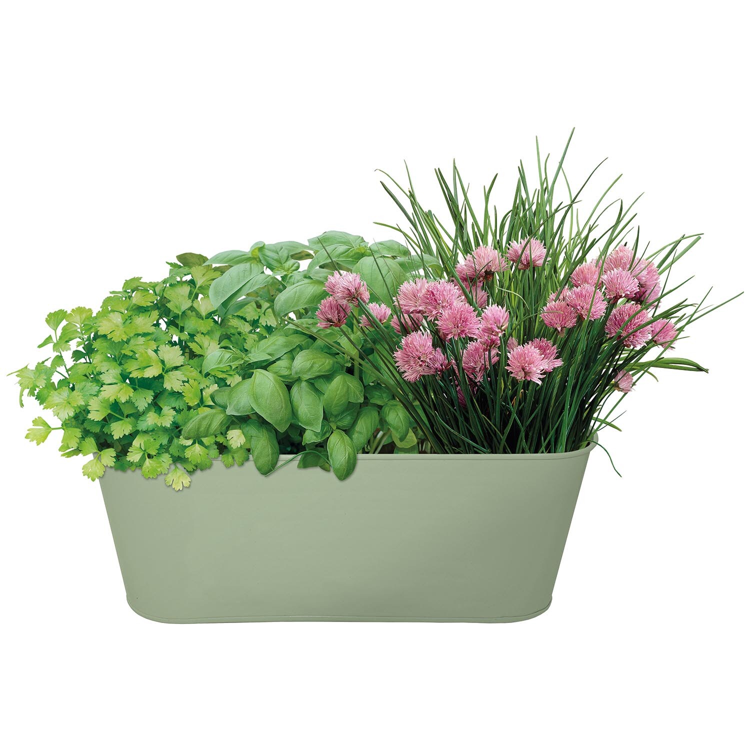 Oval Metal Green Planter Image 1