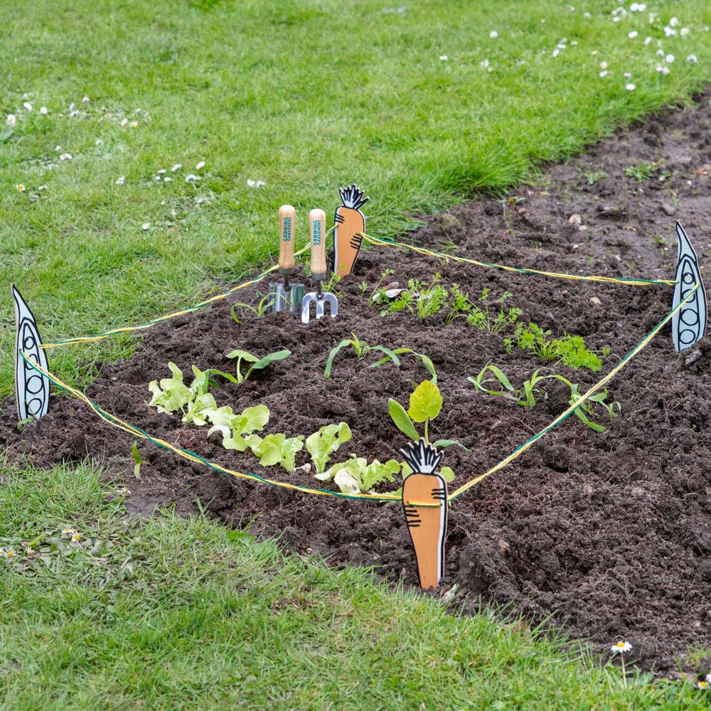 Burgon and Ball Growing Gardeners Vegetable Garden Stake and String Set Image 5
