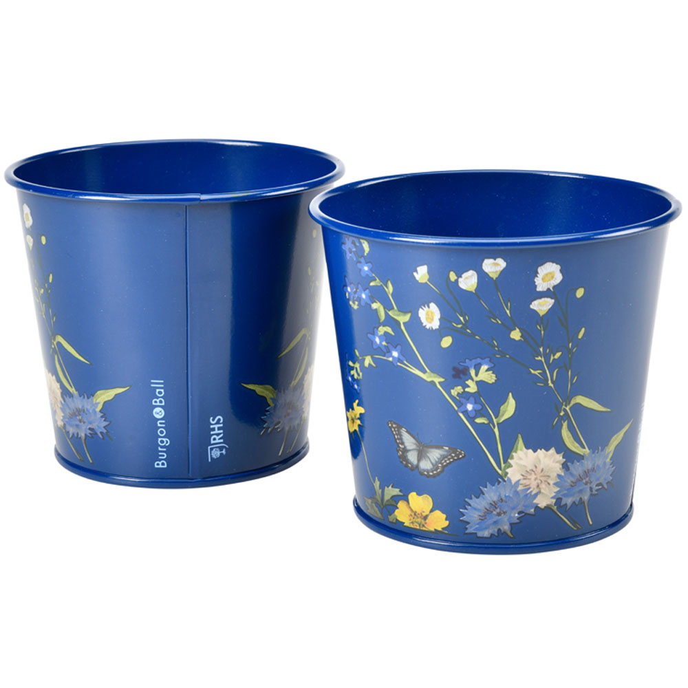 Burgon and Ball New RHS British Meadow Herb Pot 2 Pack Image 3