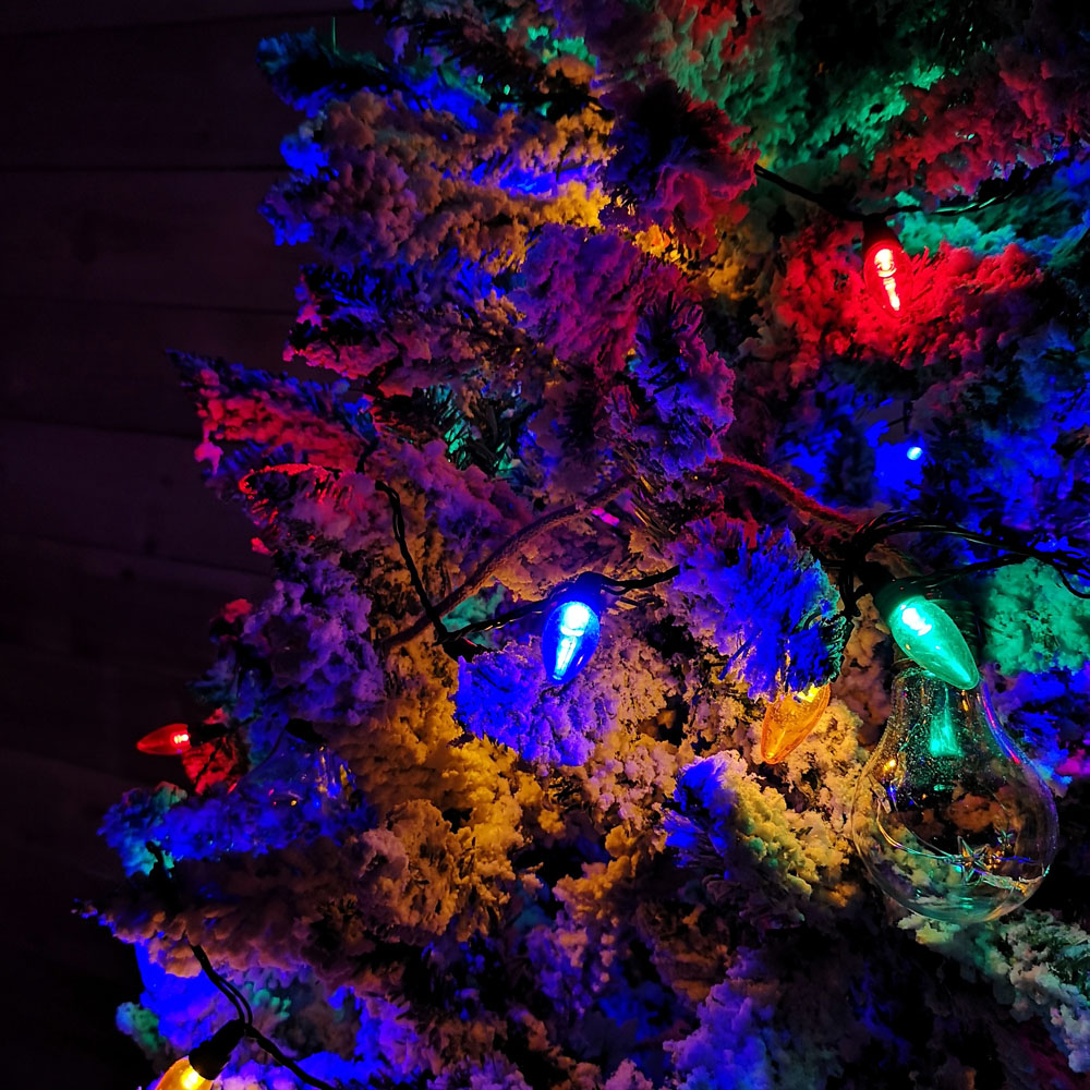 Samuel Alexander 120 Multicolour LED Bulb Multi-Function Black Festoon Light 12m Image 9