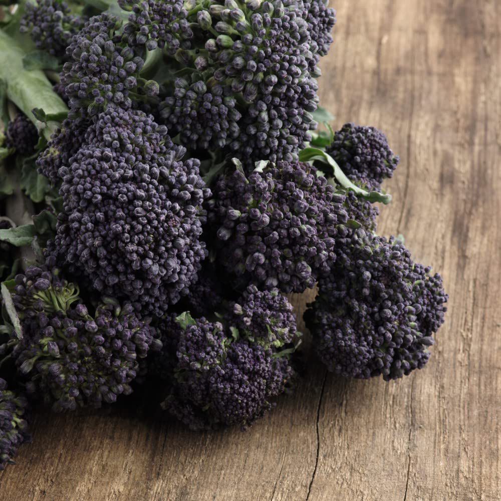 Thompson & Morgan Sprouting Broccoli Continuity Collection Postiplugs 18 Pack Image 3