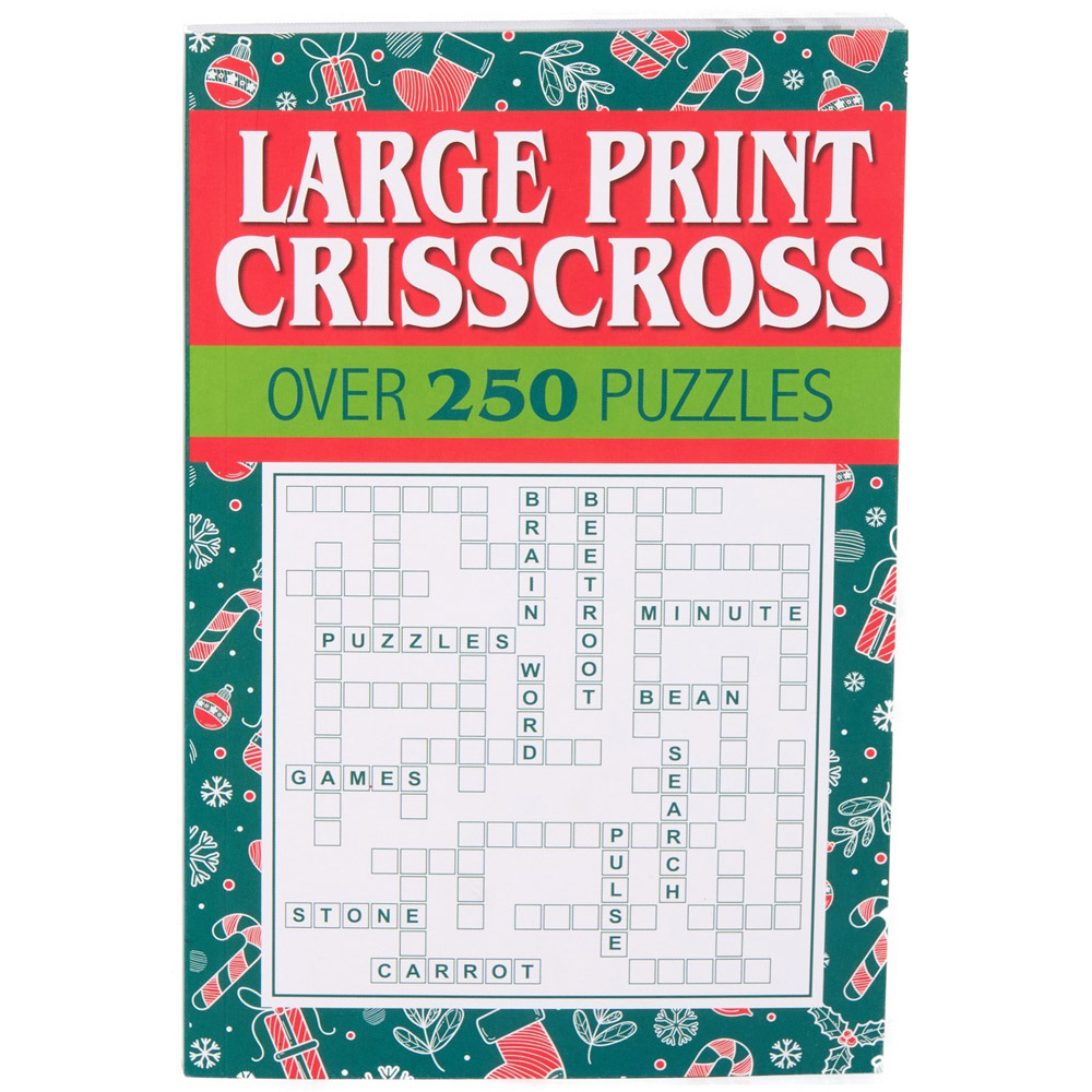 Large Print Christmas Puzzles Pack Image 4