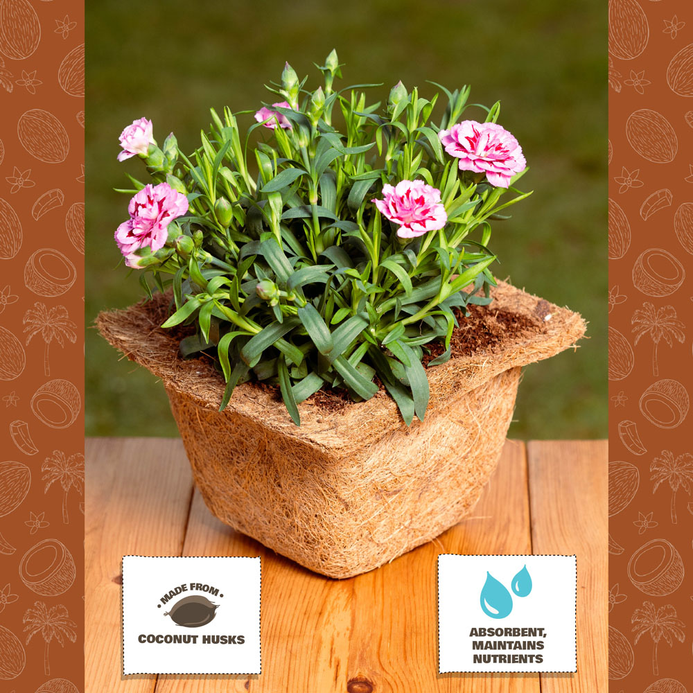 Coco & Coir Square Propagation Pot 8cm 12 Pack Image 2