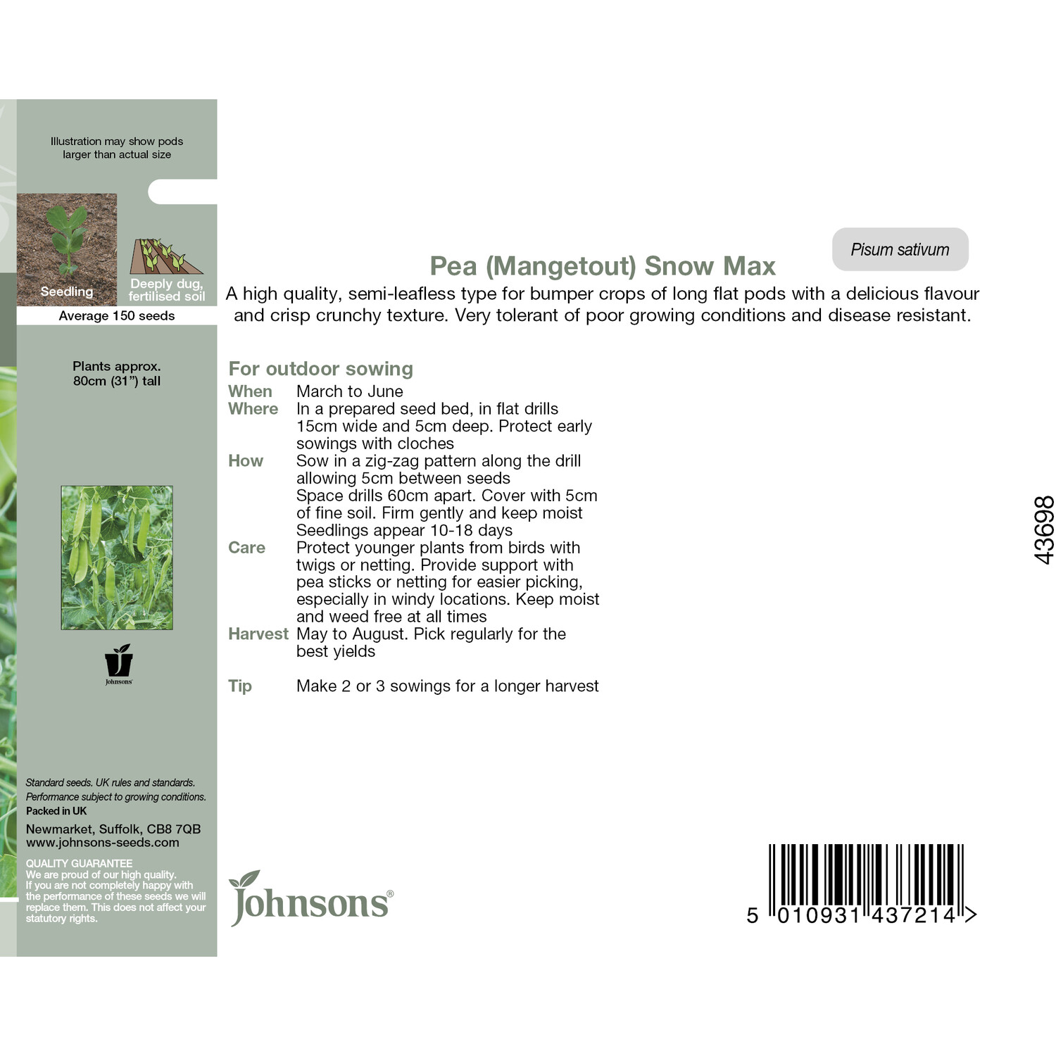 Johnsons Pea (Mangetout) Snow Max Seeds - Green Image 2