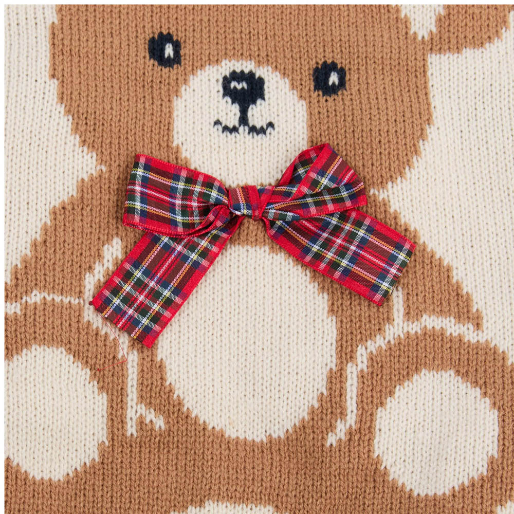 Teddy Pet Jumper XL Image 6