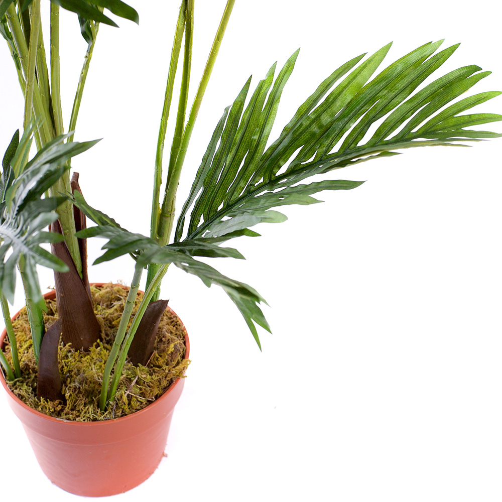 5ft Areca Palm Tree Image 3