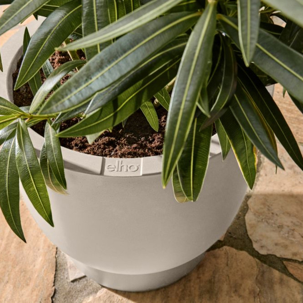 elho Amber White Coupe Plastic Plant Pot 41cm Image 6