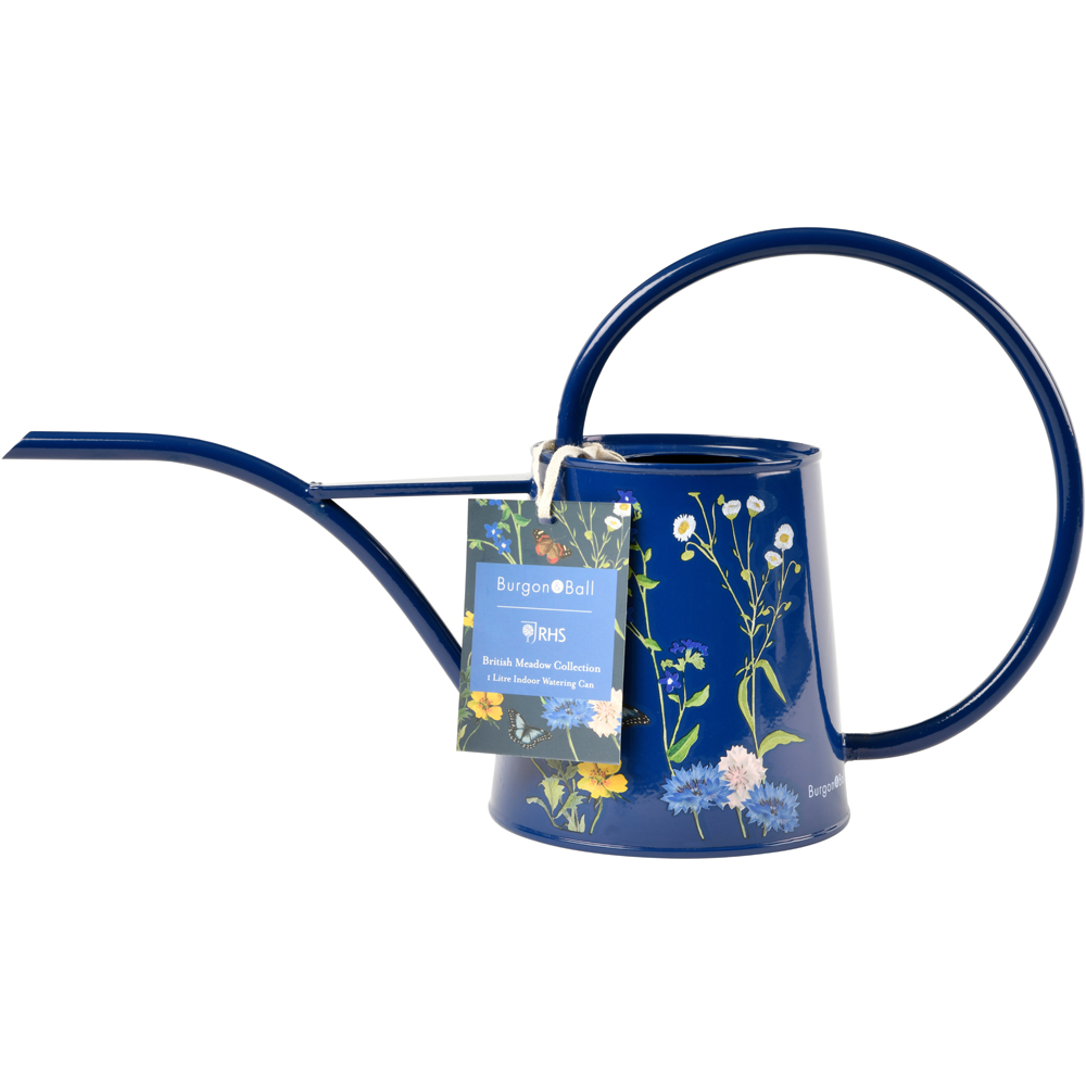 Burgon & Ball British Meadow Galvanised Steel Indoor Watering Can 1L Image 5