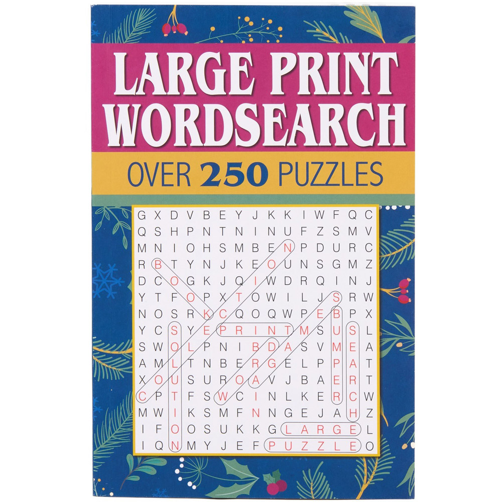 Large Print Christmas Puzzles Pack Image 8
