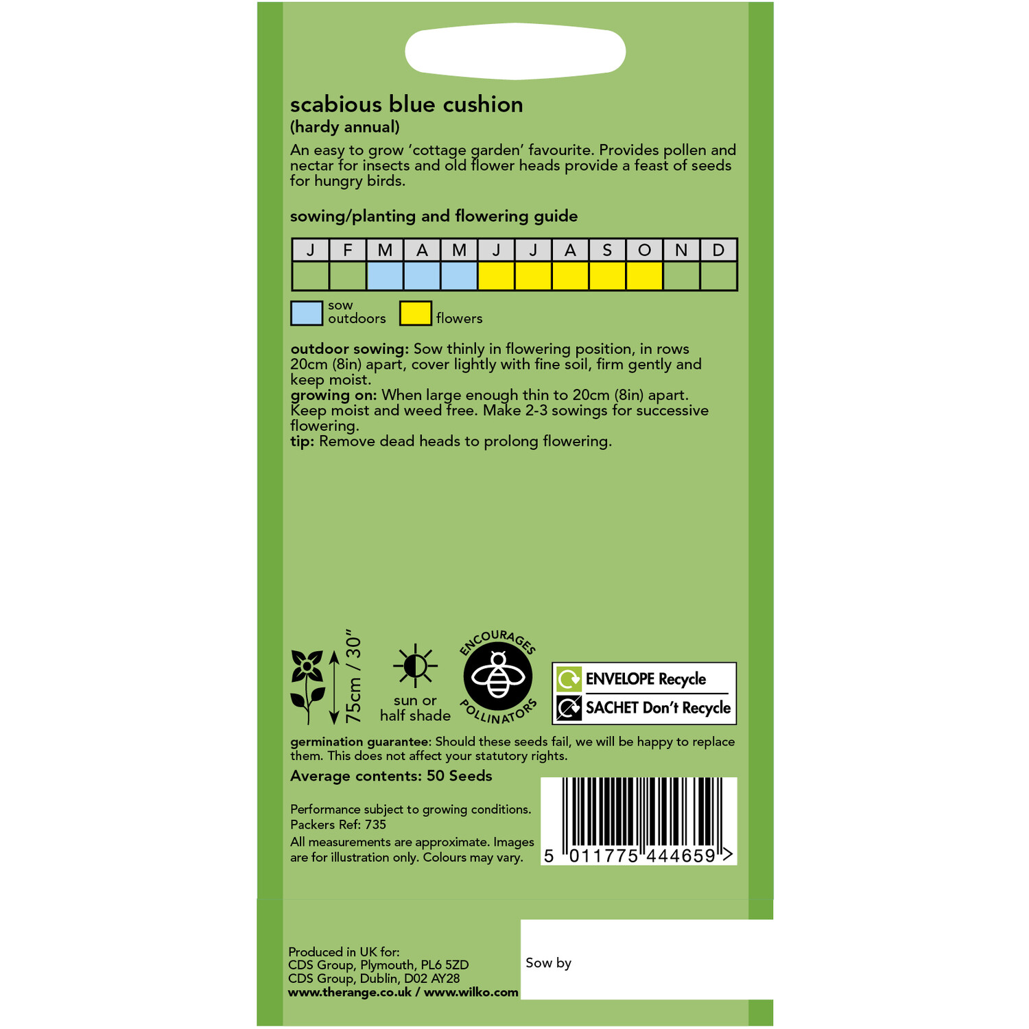 Wilko Scabious Blue Cushion Seeds Image 2