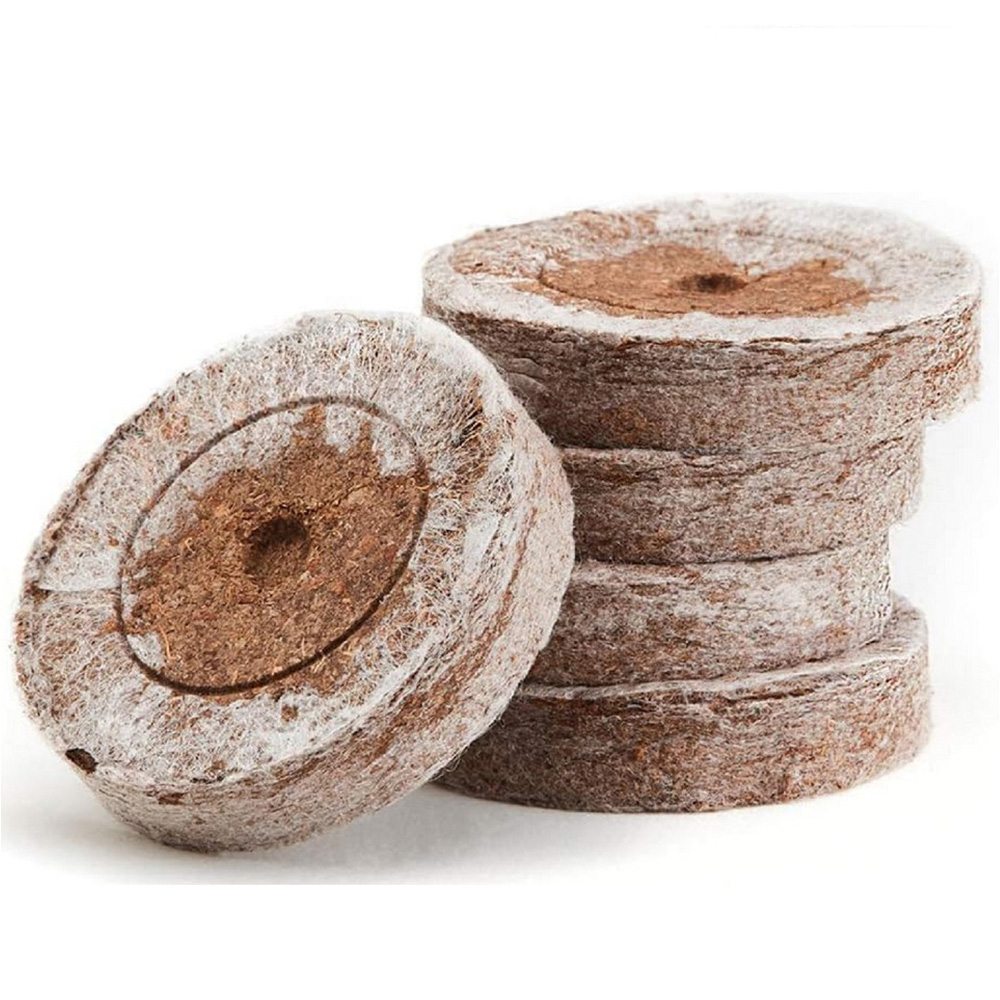 Thompson & Morgan Microgreens Rainbow Seed Grow Kit Image 4