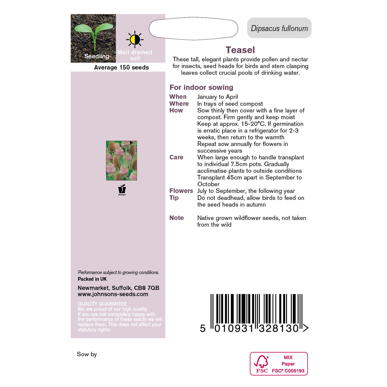 Johnsons Teasel Image 2