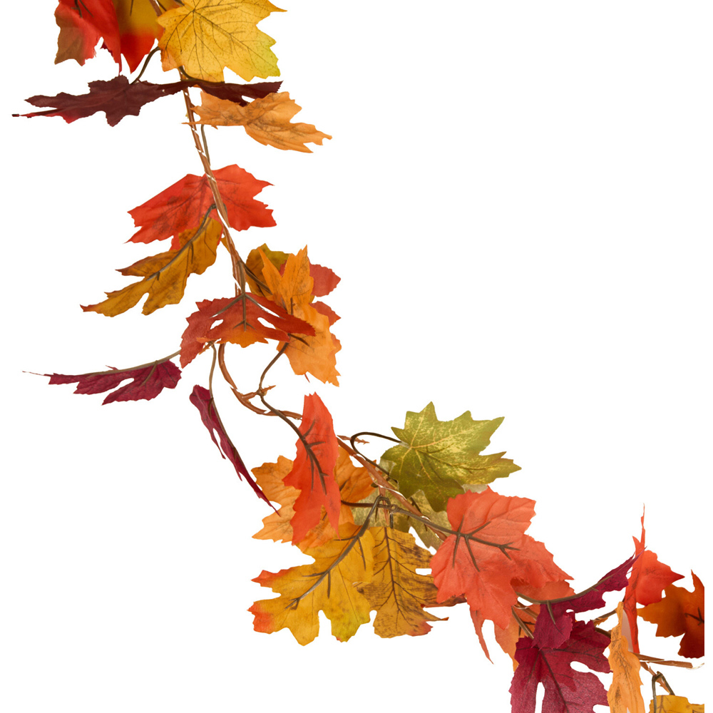 20 LED Autumnal Garland String Light Image 3