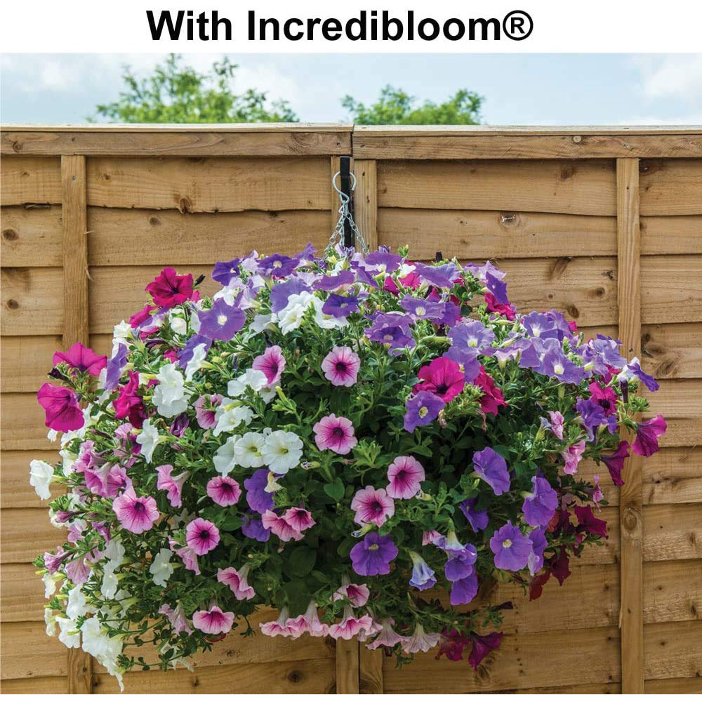 Thompson & Morgan Incredibloom Plant Fertiliser 750g 2 Pack Image 3