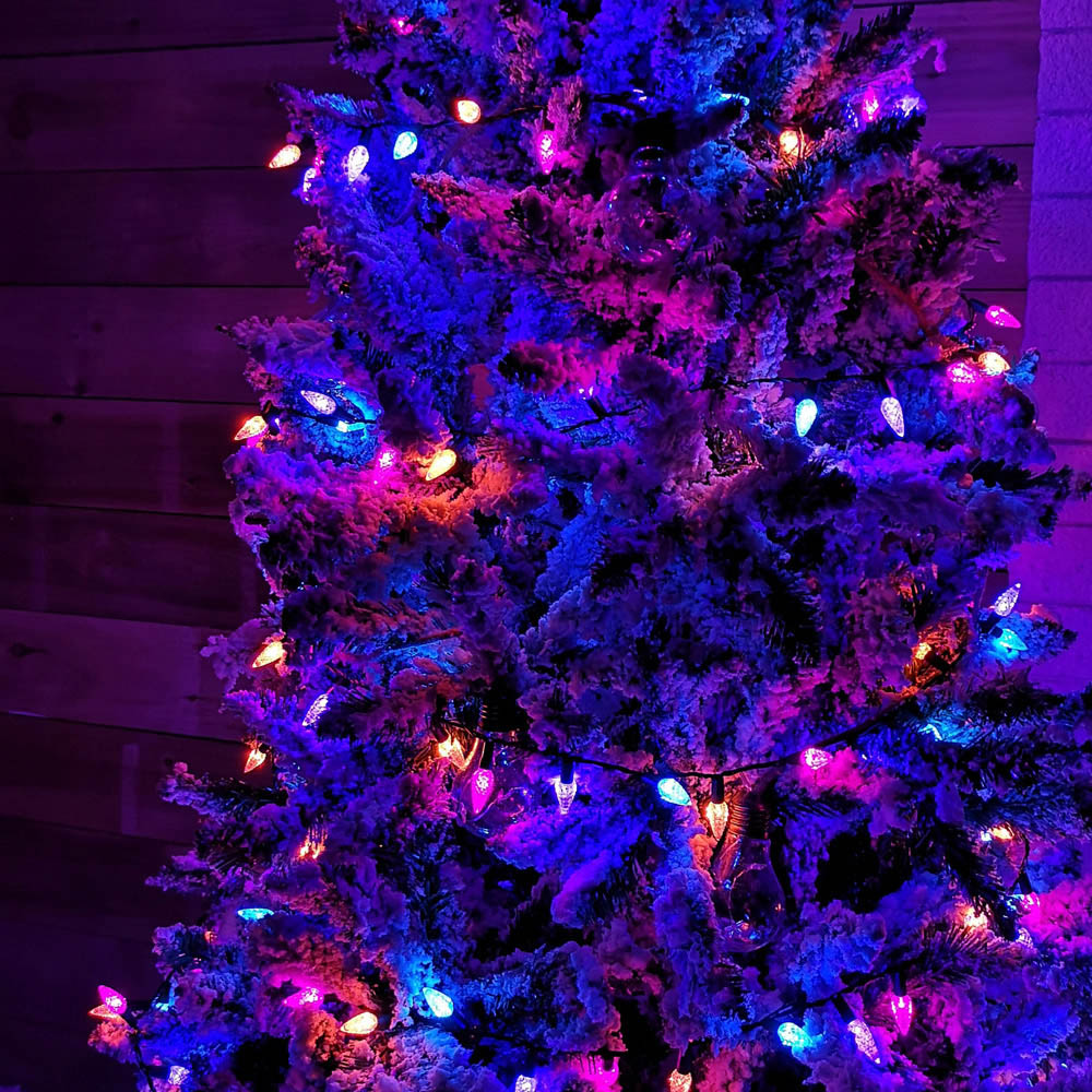 Samuel Alexander 300 Rainbow LED Green Cable Pine Cone String Lights 15m Image 5