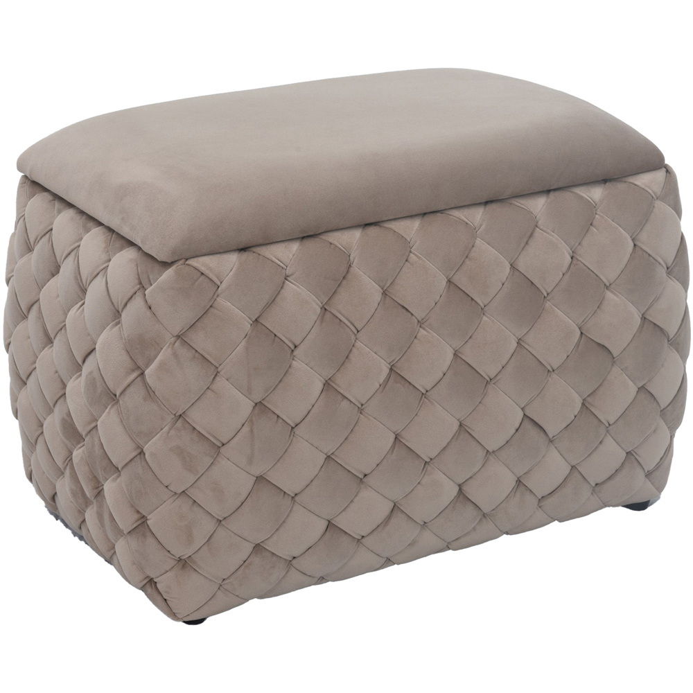 Artemis Home Plumeo Mole Velvet Storage Ottoman Image 3