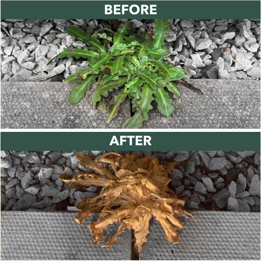 Enviroworks Weed Gone Weed Killer 5L Image 3