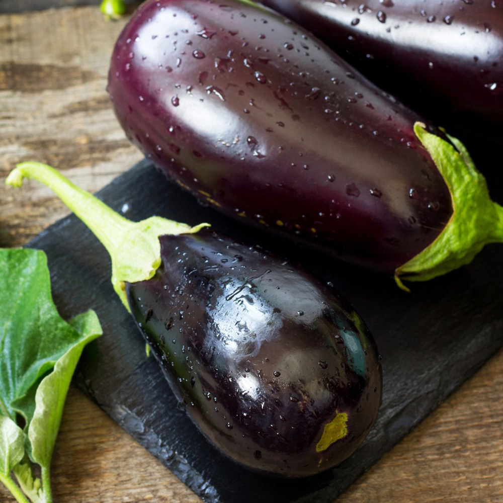 Thompson and Morgan Aubergine Scorpio Grafted Potted Plant 9cm Image 4