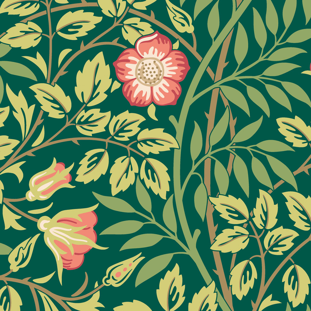 Hoopla Walls Rosehip Trail Forest Green Non Woven Wallpaper Image 1