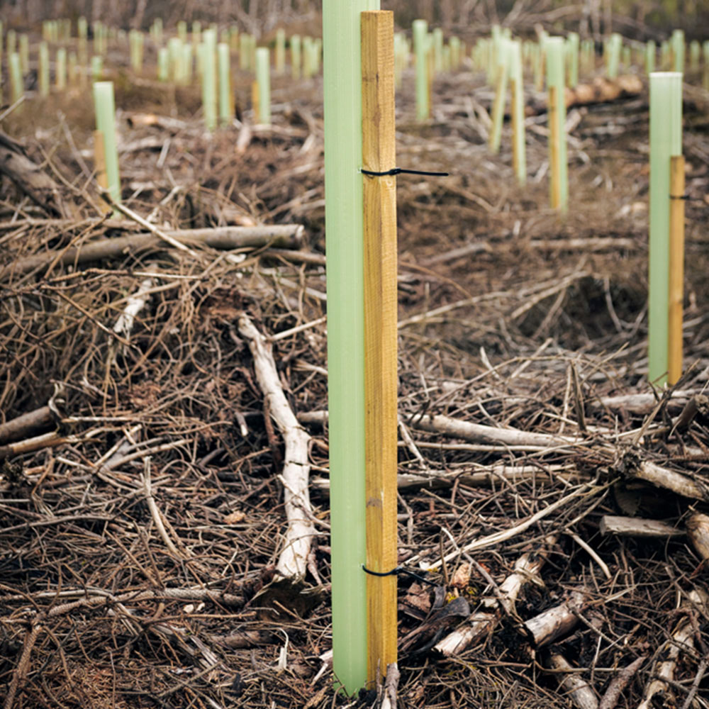 Inspirational Gifting Square Pointed Wooden Tree Stake 1.2m x 32mm 20 Pack Image 2