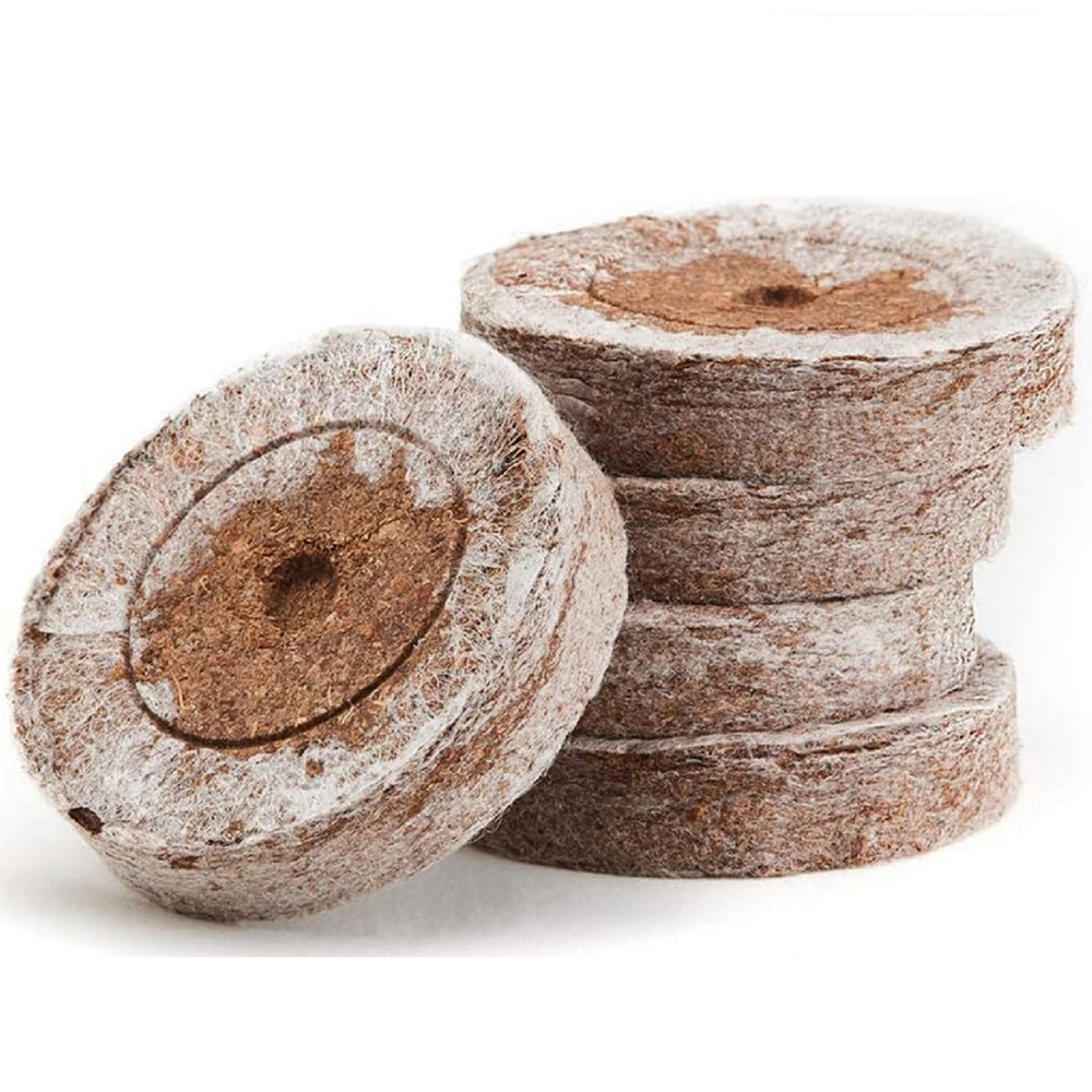 Thompson and Morgan Sweet Peas Seed Growing Kit Image 5