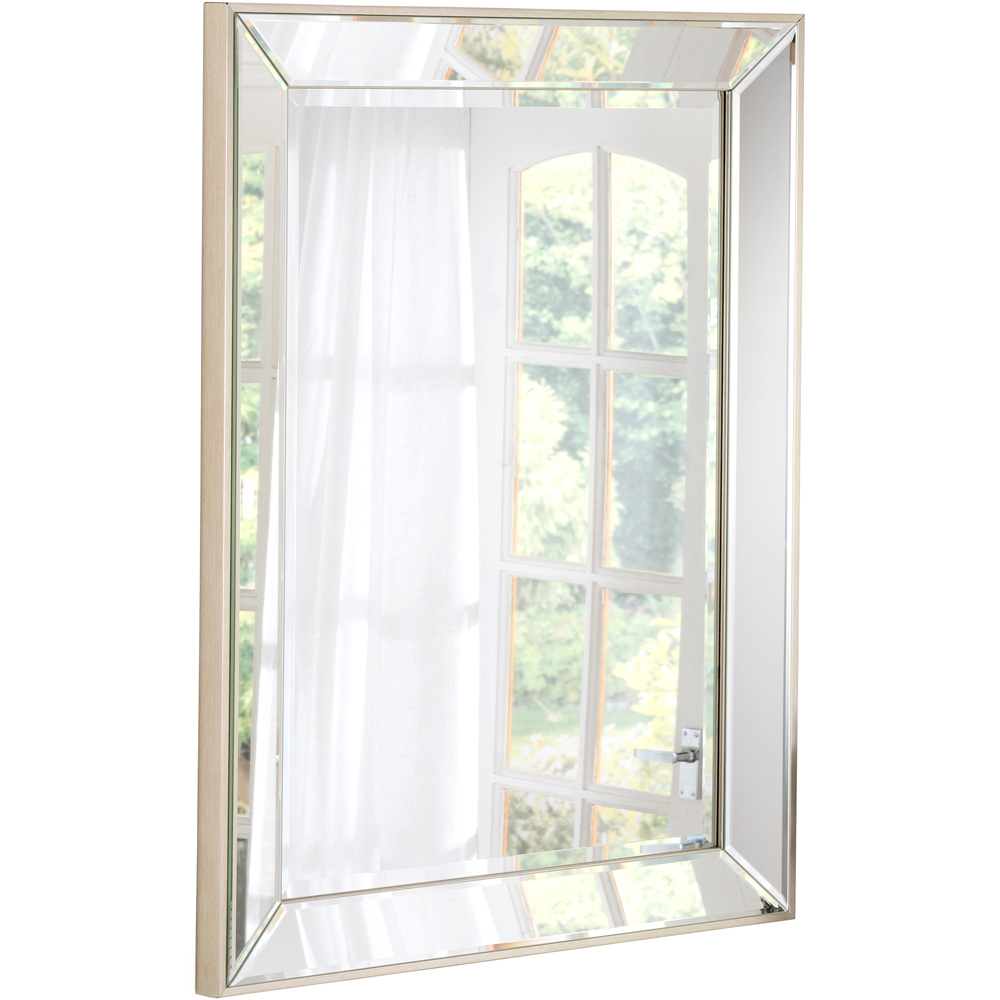 Yearn Champagne Trim Large Bevelled Mirror 102 x 74cm Image 3