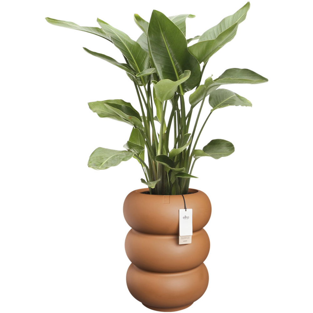 elho Amber Caramel Roll High Plastic Plant Pot 43cm Image 3