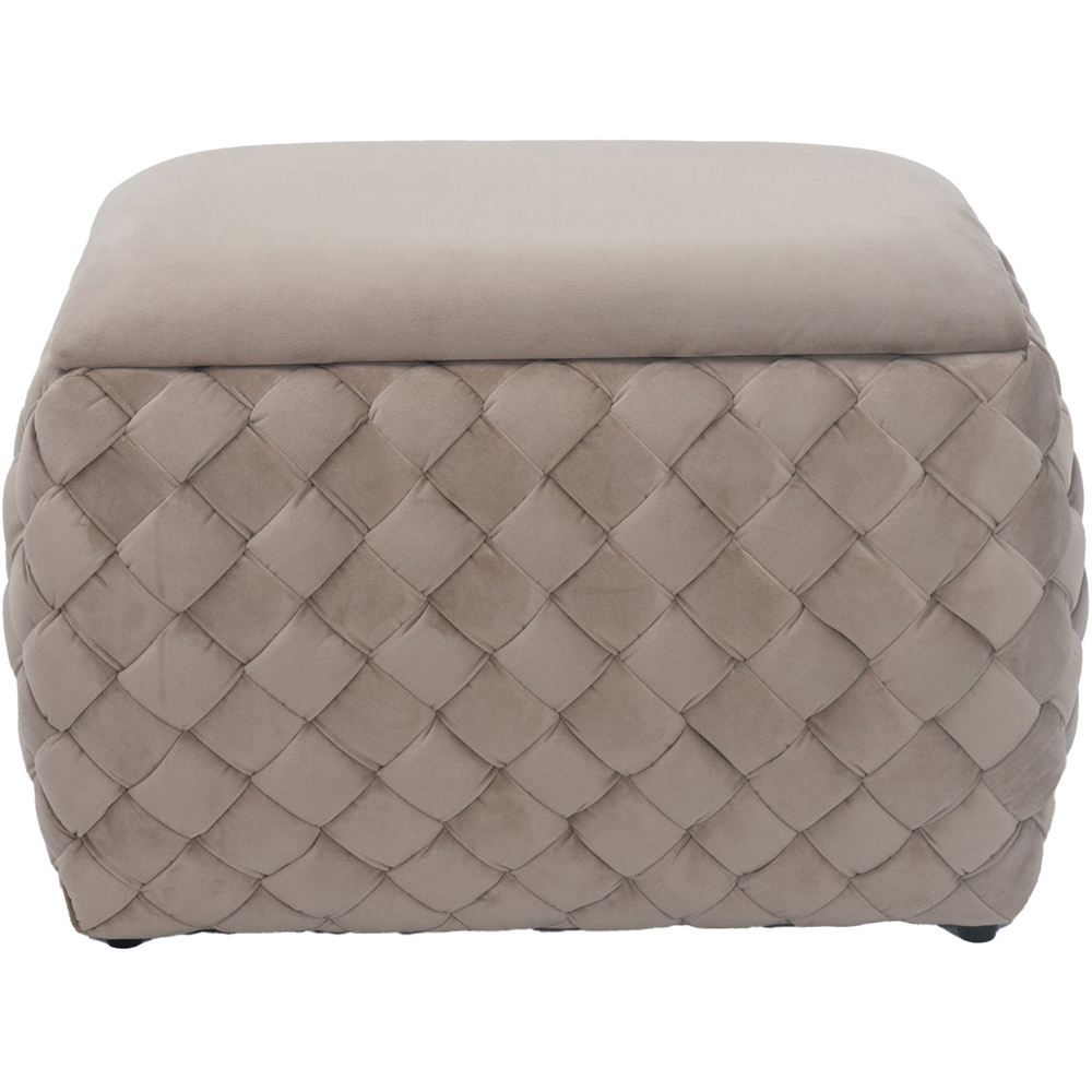 Artemis Home Plumeo Mole Velvet Storage Ottoman Image 4