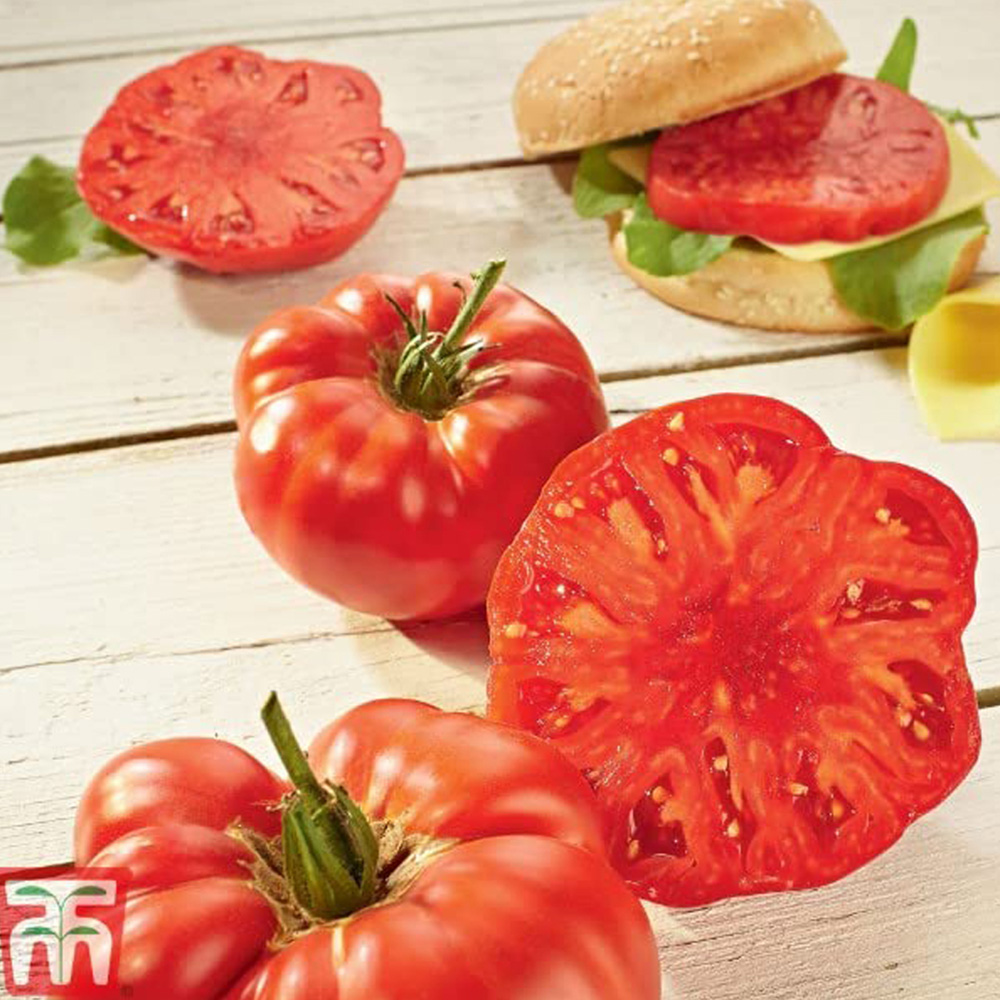 Thompson and Morgan Tomato Buffalosteak F1 Seeds Image 2