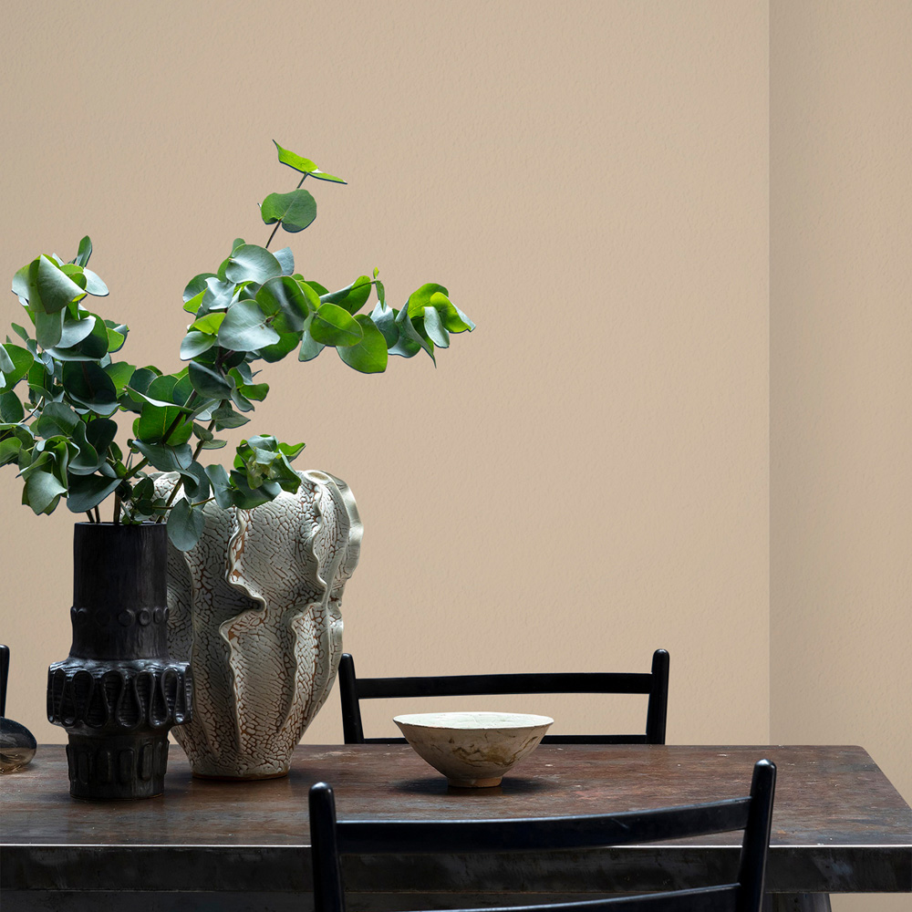 Craig & Rose 1829 Vintage Walls and Ceilings Coachella Chalky Matt Emulsion Paint 2.5L Image 4